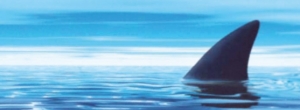 Blue World